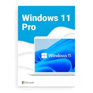Windows 11 Professional